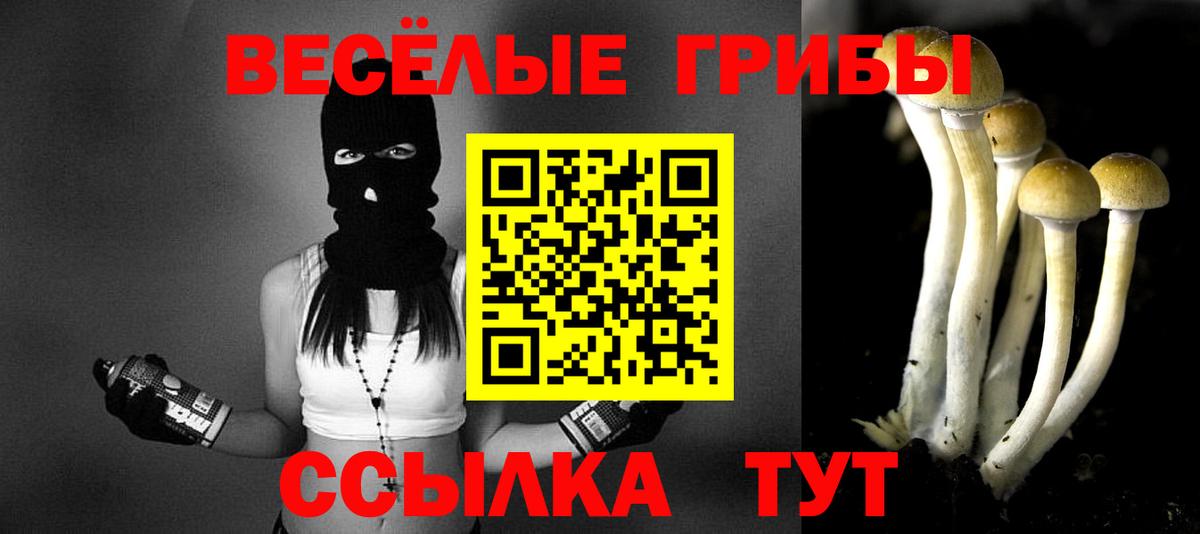 Галлюциногенные грибы Cubensis  Вход с VPN  что такое наркотик  Клинцы  Галлюциногенные грибы Psilocybe 